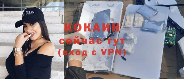 индика Алексеевка