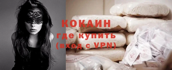 индика Алексеевка