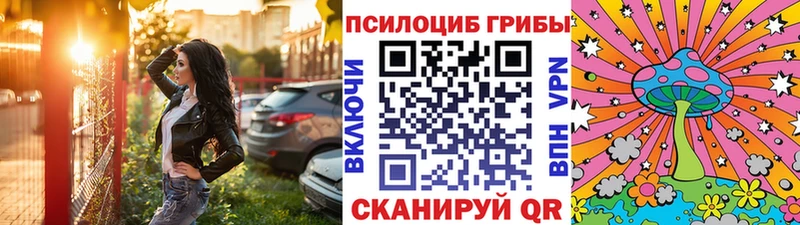 где купить наркоту  Петров Вал  Псилоцибиновые грибы Cubensis 